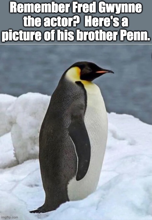 Penn was Fred's colder brother | Remember Fred Gwynne the actor?  Here's a picture of his brother Penn. | image tagged in bad pun | made w/ Imgflip meme maker