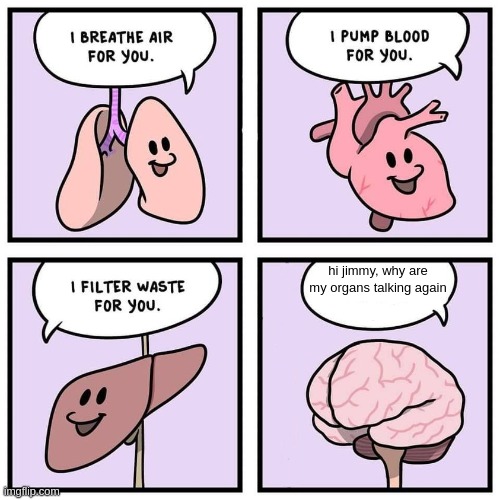 organs and brain | hi jimmy, why are my organs talking again | image tagged in organs and brain | made w/ Imgflip meme maker