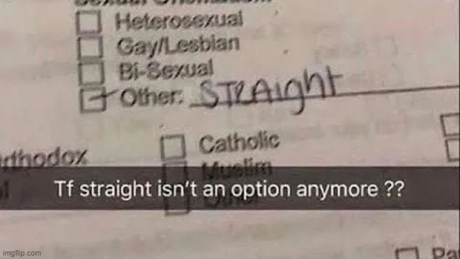 20 ups and it goes into the LGBTQ stream | made w/ Imgflip meme maker