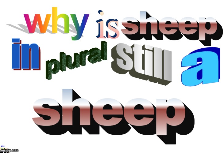 shp | made w/ Imgflip meme maker