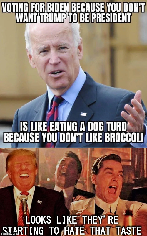 They finally noticed that bad taste in their mouths... | LOOKS LIKE THEY'RE STARTING TO HATE THAT TASTE | image tagged in trump and goodfellows,bad taste,triggered,libtards | made w/ Imgflip meme maker