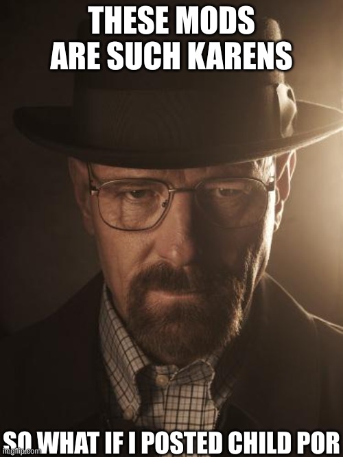 /j /j /j /j /j /j /j /j /j /j /j /j /j | THESE MODS ARE SUCH KARENS; SO WHAT IF I POSTED CHILD POR | image tagged in walter white | made w/ Imgflip meme maker