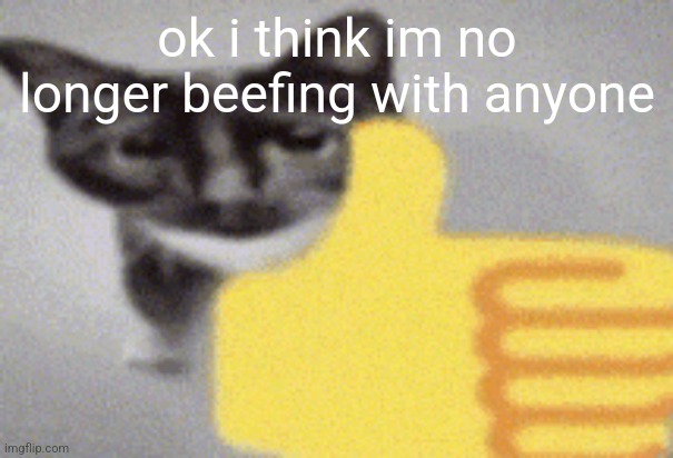 thumbs up cat | ok i think im no longer beefing with anyone | image tagged in thumbs up cat | made w/ Imgflip meme maker