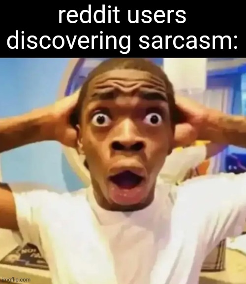 Surprised Black Guy | reddit users discovering sarcasm: | image tagged in surprised black guy | made w/ Imgflip meme maker