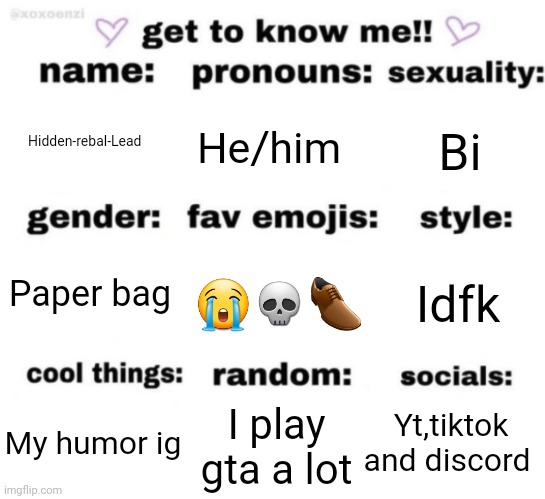 Why not | Hidden-rebal-Lead; He/him; Bi; Paper bag; 😭💀👞; Idfk; Yt,tiktok and discord; I play gta a lot; My humor ig | image tagged in get to know me but better,memes,funny | made w/ Imgflip meme maker