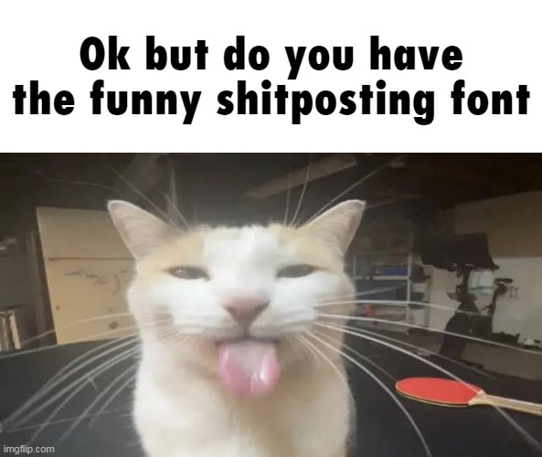 Milly the silly cat Bleh Cat | Ok but do you have the funny shitposting font | made w/ Imgflip meme maker