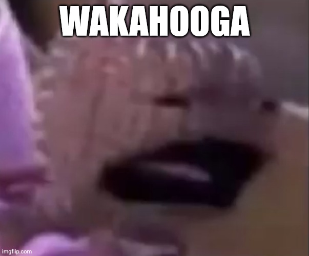 WAKAHOOGA | WAKAHOOGA | image tagged in sackboy | made w/ Imgflip meme maker