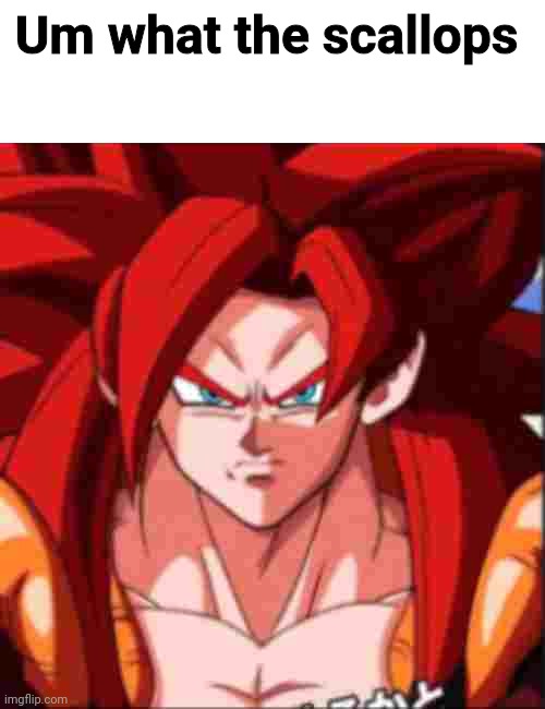 fuck suicide encouragement | Um what the scallops | image tagged in fuck suicide encouragement | made w/ Imgflip meme maker