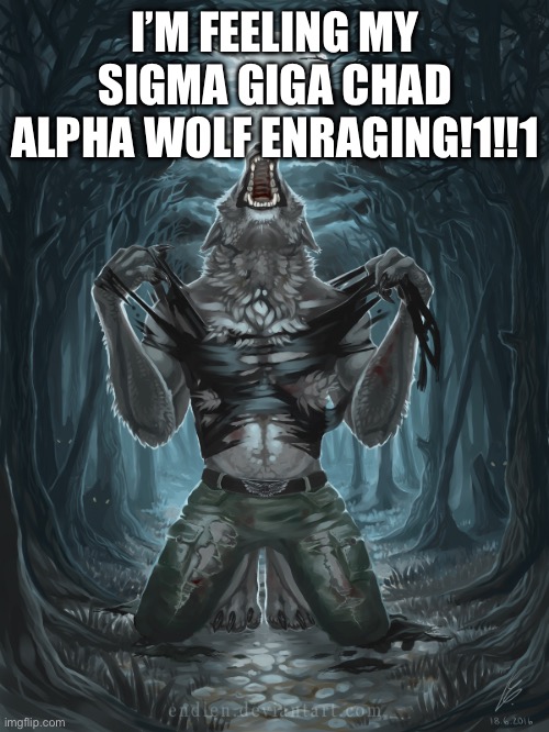 Wolf Howling | I’M FEELING MY SIGMA GIGA CHAD ALPHA WOLF ENRAGING!1!!1 | image tagged in wolf howling | made w/ Imgflip meme maker