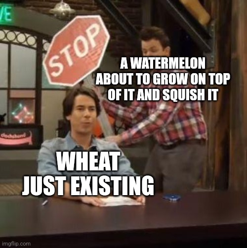Normal Conversation | A WATERMELON ABOUT TO GROW ON TOP OF IT AND SQUISH IT; WHEAT JUST EXISTING | image tagged in normal conversation | made w/ Imgflip meme maker