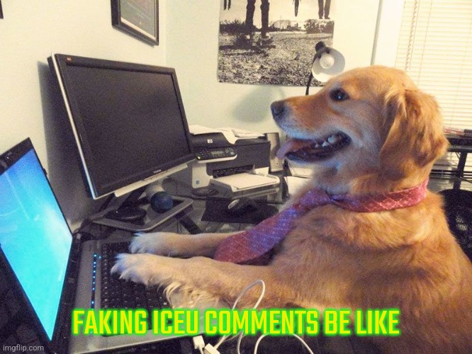 I have no idea what I'm doing | FAKING ICEU COMMENTS BE LIKE | image tagged in i have no idea what i'm doing | made w/ Imgflip meme maker