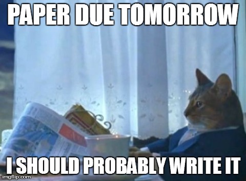 I Should Write That Paper...  | PAPER DUE TOMORROW I SHOULD PROBABLY WRITE IT | image tagged in memes,i should buy a boat cat | made w/ Imgflip meme maker