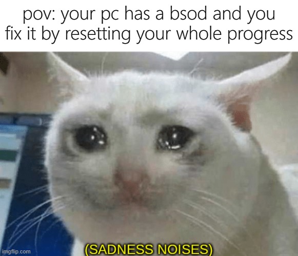 way to fix my slowest pc. | pov: your pc has a bsod and you fix it by resetting your whole progress | image tagged in sadness noises,memes,windows 10 | made w/ Imgflip meme maker