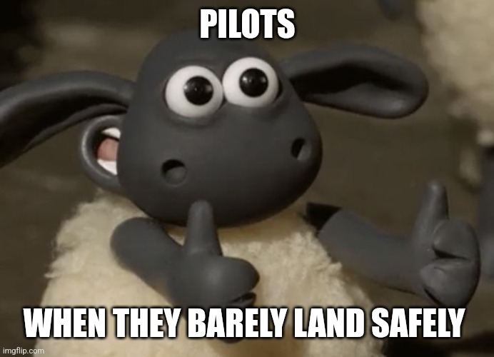 A sort of safe landing | PILOTS; WHEN THEY BARELY LAND SAFELY | image tagged in thumbs up sheep | made w/ Imgflip meme maker