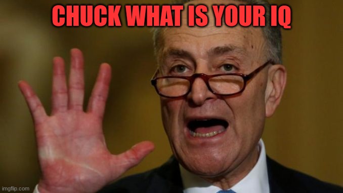 Five | CHUCK WHAT IS YOUR IQ | image tagged in chuck schumer,democrats | made w/ Imgflip meme maker