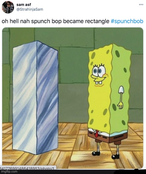 Rectangle | image tagged in rectangle | made w/ Imgflip meme maker