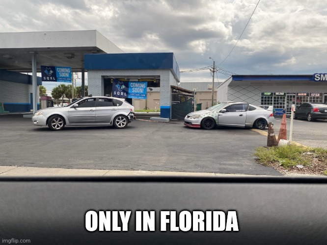 My gosh | ONLY IN FLORIDA | image tagged in memes,idiots,idiot,why are you reading the tags | made w/ Imgflip meme maker