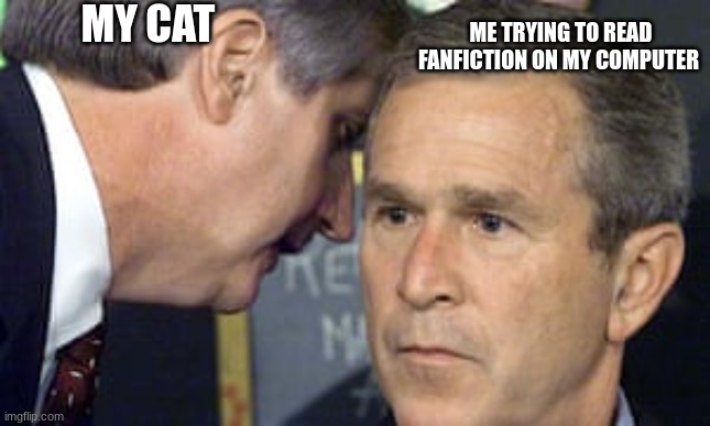 George Bush 9/11 | MY CAT; ME TRYING TO READ FANFICTION ON MY COMPUTER | image tagged in george bush 9/11 | made w/ Imgflip meme maker