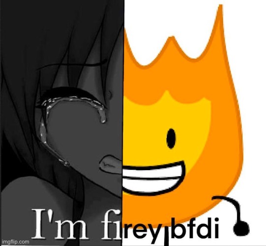 I’m firey | image tagged in bfdi | made w/ Imgflip meme maker