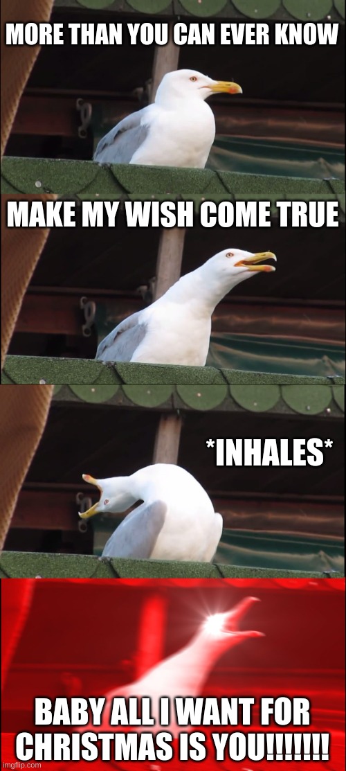 I'll never make it through december | MORE THAN YOU CAN EVER KNOW; MAKE MY WISH COME TRUE; *INHALES*; BABY ALL I WANT FOR CHRISTMAS IS YOU!!!!!!! | image tagged in memes,inhaling seagull,christmas,christmas music,all i want for christmas is you | made w/ Imgflip meme maker