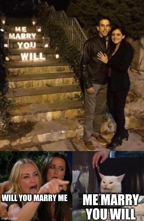 I think the guy is secretly yoda | ME MARRY YOU WILL; WILL YOU MARRY ME | image tagged in memes,woman yelling at cat | made w/ Imgflip meme maker