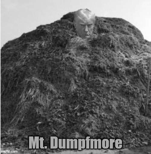 Mt. Drumpfmore | Mt. Dumpfmore | image tagged in trump,legacy,maga,pile of shit | made w/ Imgflip meme maker