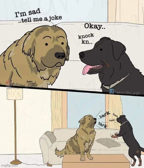 Oh Boy , Company ! | image tagged in doggo,bad joke,excited vs bored,four legs,good dog | made w/ Imgflip meme maker