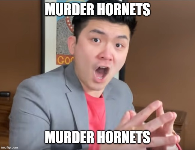 Steven He Murder Hornets - Imgflip