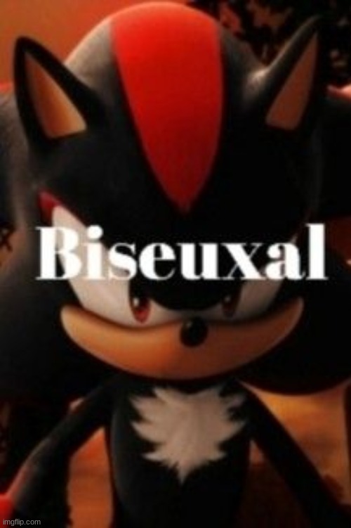 shadow bisexual | image tagged in shadow bisexual | made w/ Imgflip meme maker