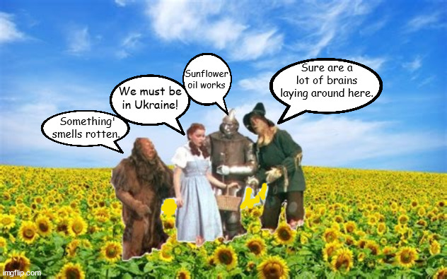 Ukraine Sunflowers /Russian soldiers graves | Sunflower oil works; Sure are a lot of brains laying around here. We must be in Ukraine! Something' smells rotten. | image tagged in ukraine,dead russian soldiers,wizard of oz,sunflowers,putin's folly,democracy | made w/ Imgflip meme maker