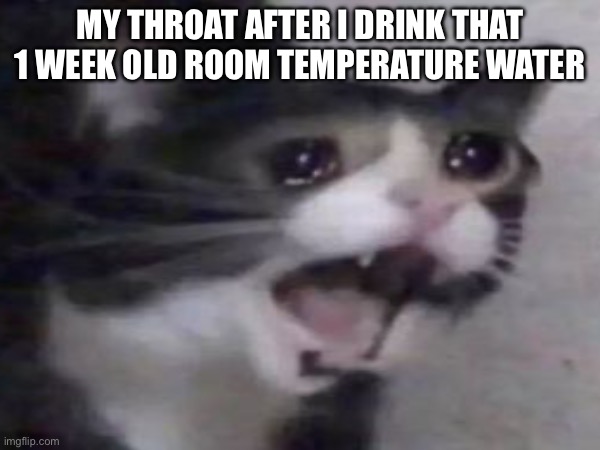 IT BURNS BURNS BURNS ! ! | MY THROAT AFTER I DRINK THAT 1 WEEK OLD ROOM TEMPERATURE WATER | image tagged in memes | made w/ Imgflip meme maker