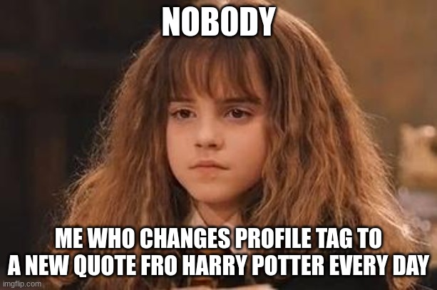 If it dosnt have who said it it is from Harry Potter himself | NOB0DY; ME WHO CHANGES PROFILE TAG TO A NEW QUOTE FRO HARRY POTTER EVERY DAY | image tagged in harry potter - miss granger is not amused | made w/ Imgflip meme maker