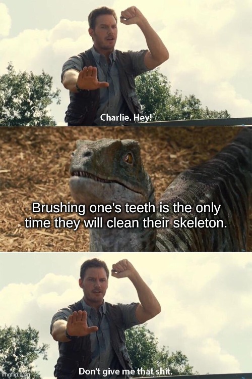 Charlie & teeth-brushing (did they clean the raptor's teeth in Jurassic World?) | Brushing one's teeth is the only time they will clean their skeleton. | image tagged in don't give me that shit charlie | made w/ Imgflip meme maker