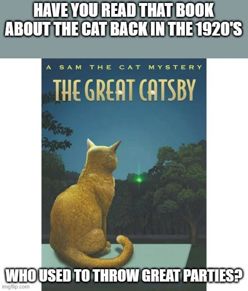 meme by Brad The Great Catsby book | HAVE YOU READ THAT BOOK ABOUT THE CAT BACK IN THE 1920'S; WHO USED TO THROW GREAT PARTIES? | image tagged in cat meme | made w/ Imgflip meme maker