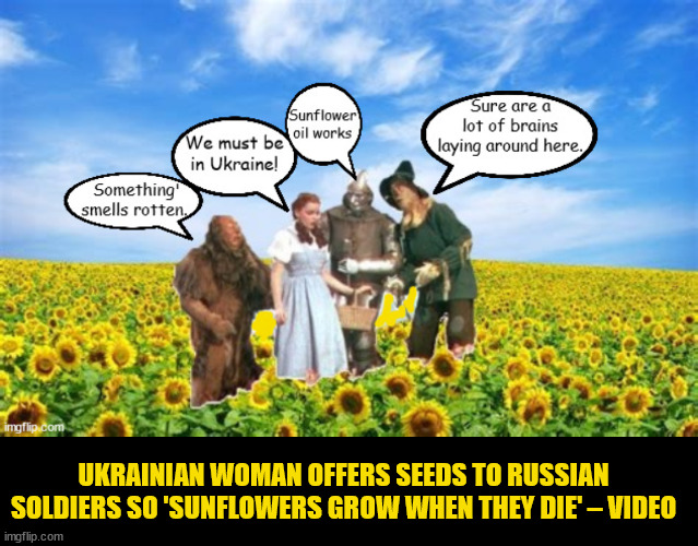 We're not in Kansas anymore, WHEW! | UKRAINIAN WOMAN OFFERS SEEDS TO RUSSIAN SOLDIERS SO 'SUNFLOWERS GROW WHEN THEY DIE' – VIDEO | image tagged in ukraine,putin,savvy genius,wizard of oz,sunflowers,dead russian soldiers | made w/ Imgflip meme maker