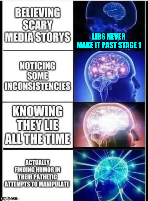 LIBS NEVER MAKE IT PAST STAGE 1 | made w/ Imgflip meme maker