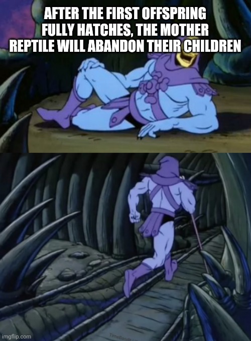 Fff #3: and you thought you had life hard | AFTER THE FIRST OFFSPRING FULLY HATCHES, THE MOTHER REPTILE WILL ABANDON THEIR CHILDREN | image tagged in disturbing facts skeletor | made w/ Imgflip meme maker