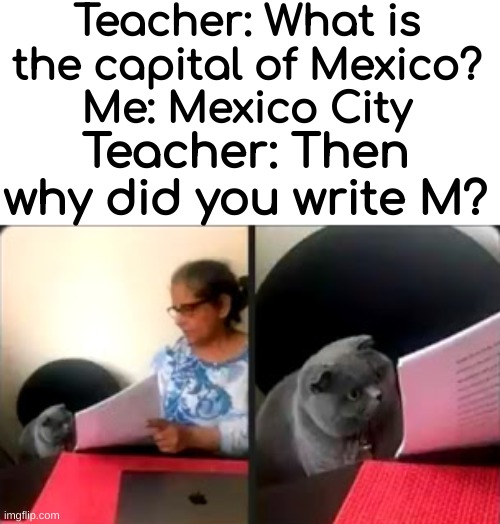 me irl | Teacher: What is the capital of Mexico?
Me: Mexico City; Teacher: Then why did you write M? | image tagged in stupid cat,dive | made w/ Imgflip meme maker