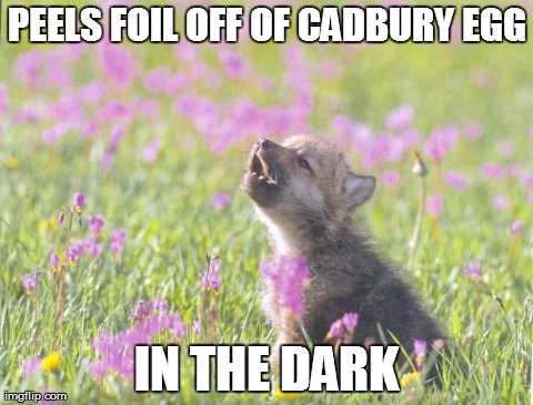 Baby Insanity Wolf Meme | PEELS FOIL OFF OF CADBURY EGG IN THE DARK | image tagged in memes,baby insanity wolf | made w/ Imgflip meme maker