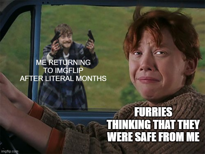 Harry with guns, scared Ron | ME RETURNING TO IMGFLIP AFTER LITERAL MONTHS; FURRIES THINKING THAT THEY WERE SAFE FROM ME | image tagged in harry with guns scared ron,im back,memes,anti furry | made w/ Imgflip meme maker
