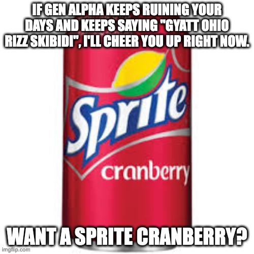 2019 Nostalgia... | IF GEN ALPHA KEEPS RUINING YOUR DAYS AND KEEPS SAYING "GYATT OHIO RIZZ SKIBIDI", I'LL CHEER YOU UP RIGHT NOW. WANT A SPRITE CRANBERRY? | image tagged in sprite cranberry,sprite,soda,meme nostalgia,nostalgia | made w/ Imgflip meme maker