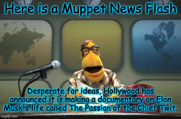 The Passion of the Chief Twit | Here is a Muppet News Flash; Desperate for ideas, Hollywood has announced it is making a documentary on Elon Musk's life called The Passion of the Chief Twit. | image tagged in muppet news flash | made w/ Imgflip meme maker