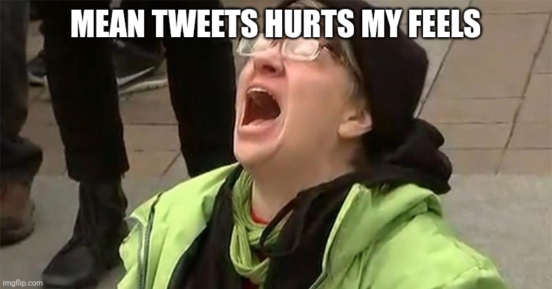crying liberal | MEAN TWEETS HURTS MY FEELS | image tagged in crying liberal | made w/ Imgflip meme maker
