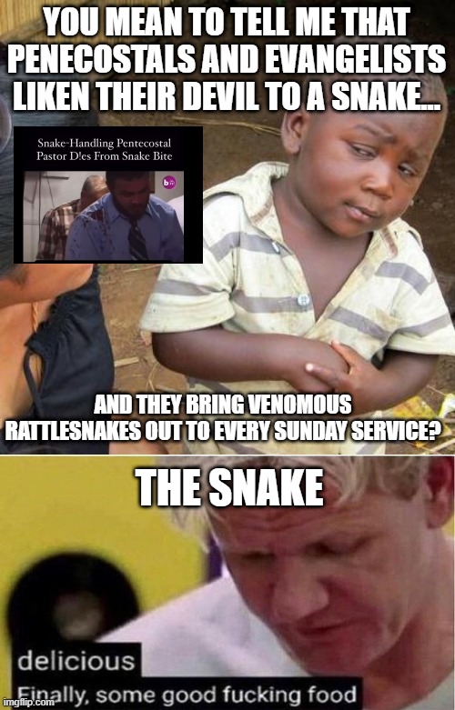 Oh look a snek for snake. | YOU MEAN TO TELL ME THAT PENECOSTALS AND EVANGELISTS LIKEN THEIR DEVIL TO A SNAKE... AND THEY BRING VENOMOUS RATTLESNAKES OUT TO EVERY SUNDAY SERVICE? THE SNAKE | image tagged in memes,third world skeptical kid,gordon ramsay some good food | made w/ Imgflip meme maker