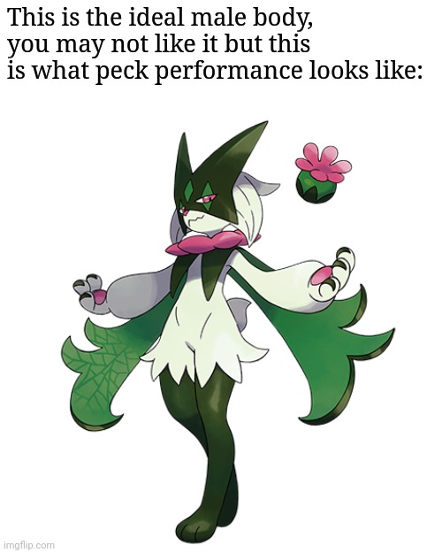 meowscarada | This is the ideal male body, you may not like it but this is what peck performance looks like: | image tagged in meowscarada | made w/ Imgflip meme maker