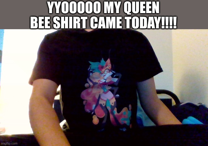 *happiness noises* | YYOOOOO MY QUEEN BEE SHIRT CAME TODAY!!!! | image tagged in queen bee,shirt,helluva boss,fun,queen bee shirt | made w/ Imgflip meme maker