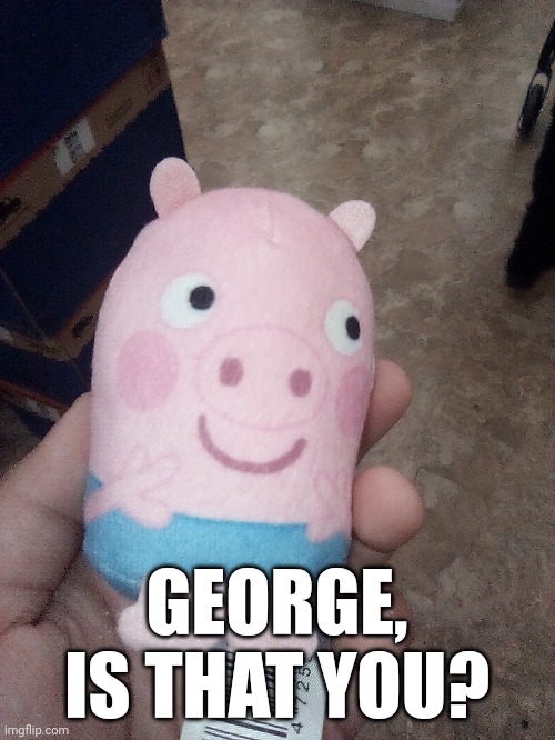 Look what they did to my boy | GEORGE, IS THAT YOU? | image tagged in peppa pig,cursed image,you have been eternally cursed for reading the tags | made w/ Imgflip meme maker