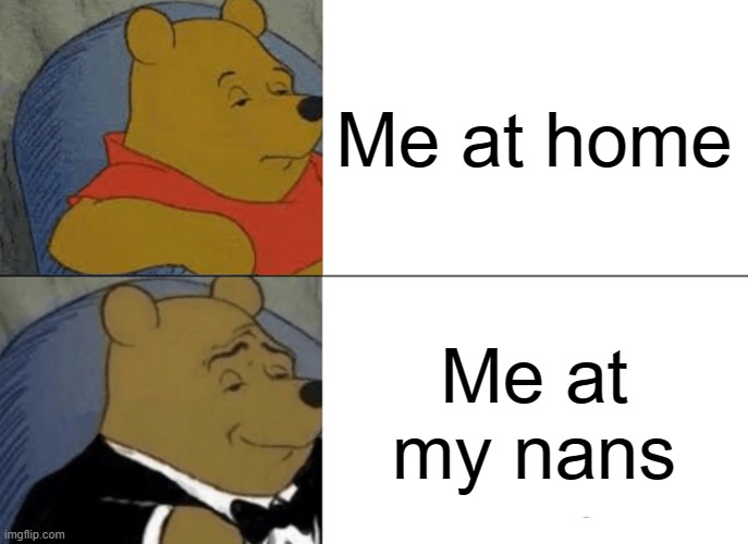 Me at my house vs me at my nans | Me at home; Me at my nans | image tagged in memes,tuxedo winnie the pooh | made w/ Imgflip meme maker