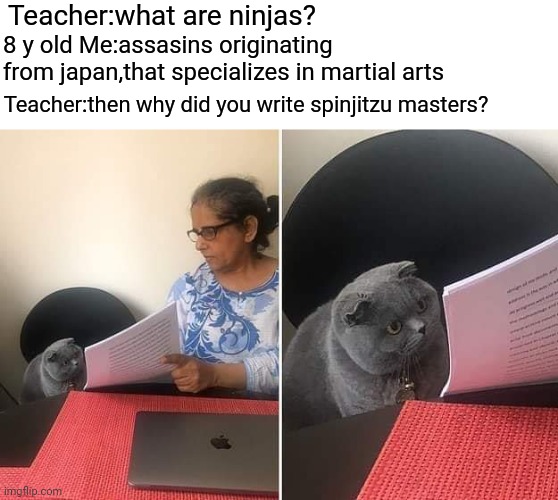 A meme from my childhood | Teacher:what are ninjas? 8 y old Me:assasins originating from japan,that specializes in martial arts; Teacher:then why did you write spinjitzu masters? | image tagged in woman showing paper to cat,ninjago | made w/ Imgflip meme maker