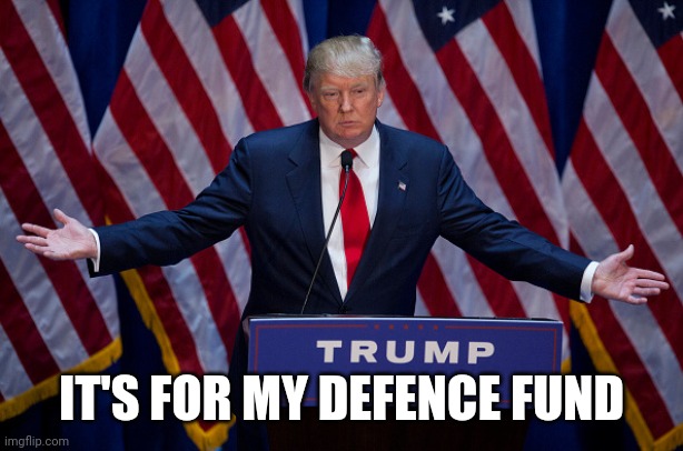 Donald Trump | IT'S FOR MY DEFENCE FUND | image tagged in donald trump | made w/ Imgflip meme maker